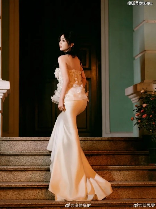 《重返狼群》全网翻红：跨越十年的真实力量，何以击中当代人心？