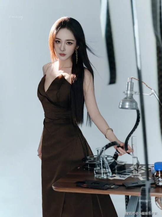 一群牛的百年孤独